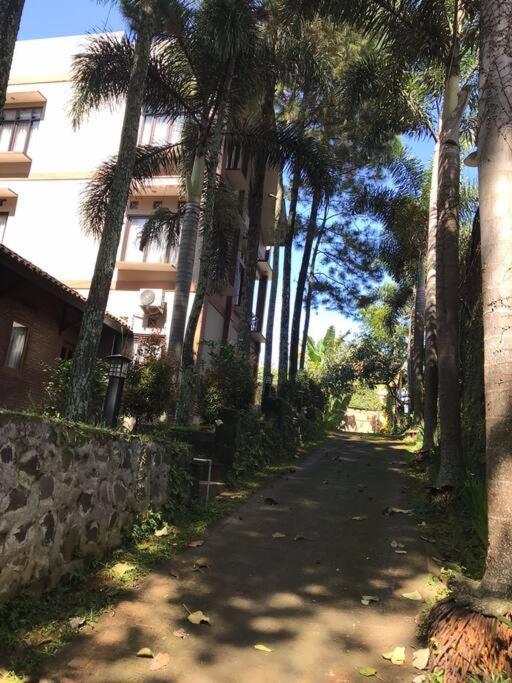 Villa Naumi Bandung Dış mekan fotoğraf