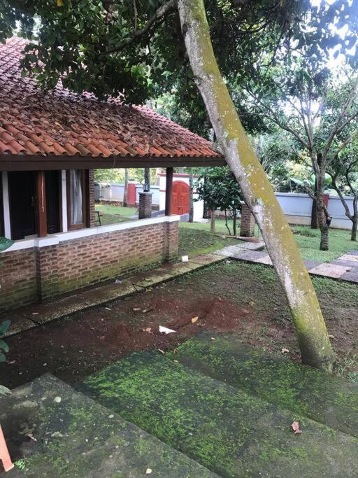 Villa Naumi Bandung Dış mekan fotoğraf